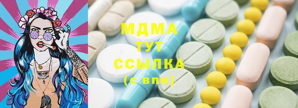 индика Алексин
