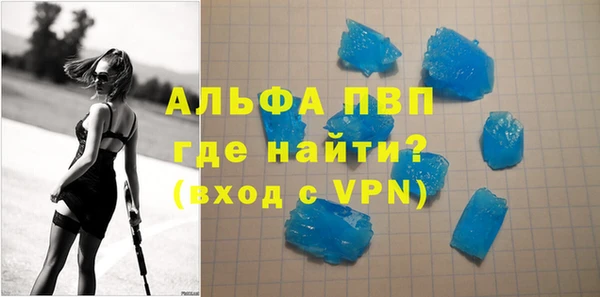 индика Алексин