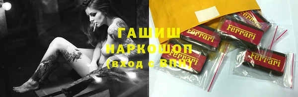индика Алексин