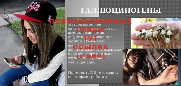 индика Алексин