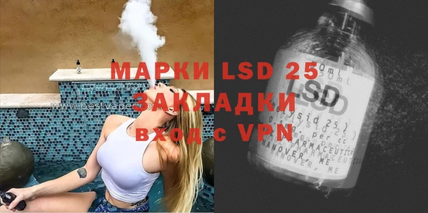 индика Алексин